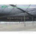 Gothic Roof Galvanized Steel Commercial Greenhouse